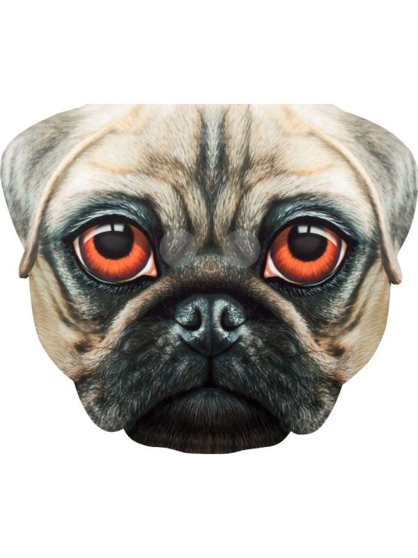 Foam gezichtmasker pug main product photo