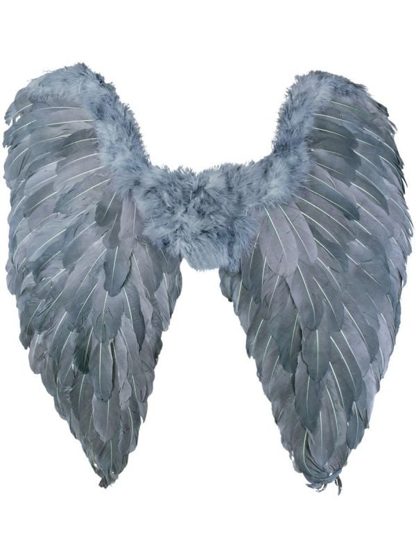 Grijze engels vleugels met veren