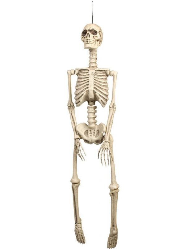 Halloween basic skelet hangend