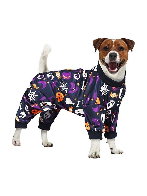 Halloween dag van de doden honden outfit