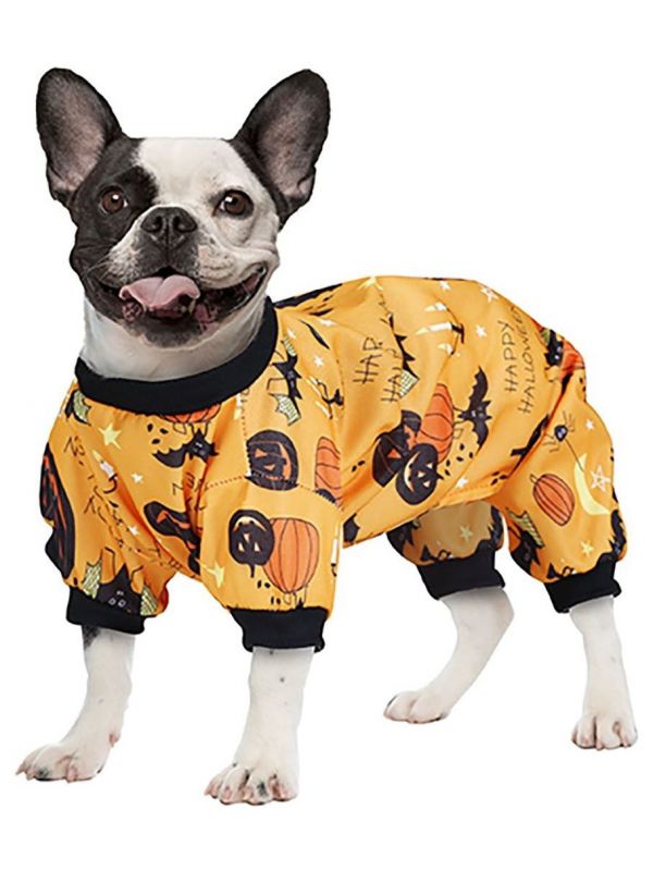 Halloween pompoen outfit hond