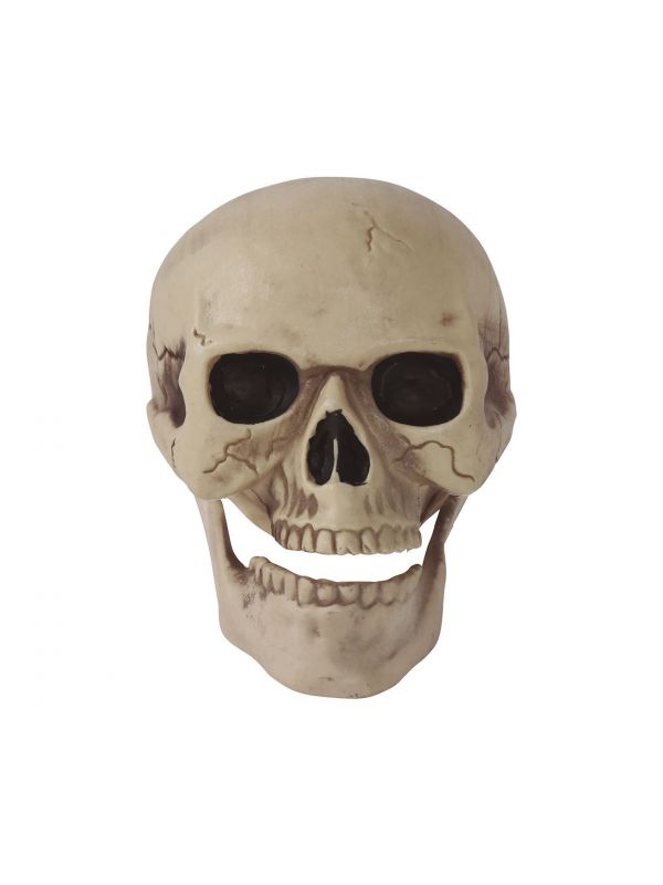 Halloween schedel decoratie