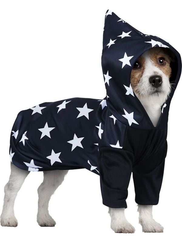 Halloween tovenaar outfit hond main product photo