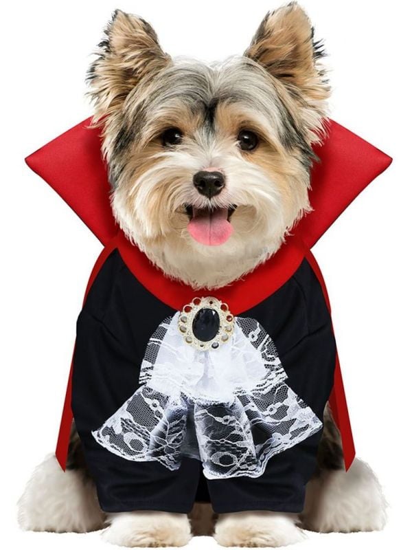 Halloween vampier outfit hond