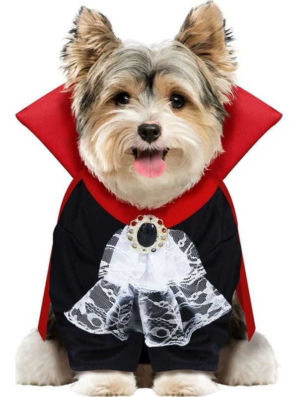 Halloween vampier outfit hond