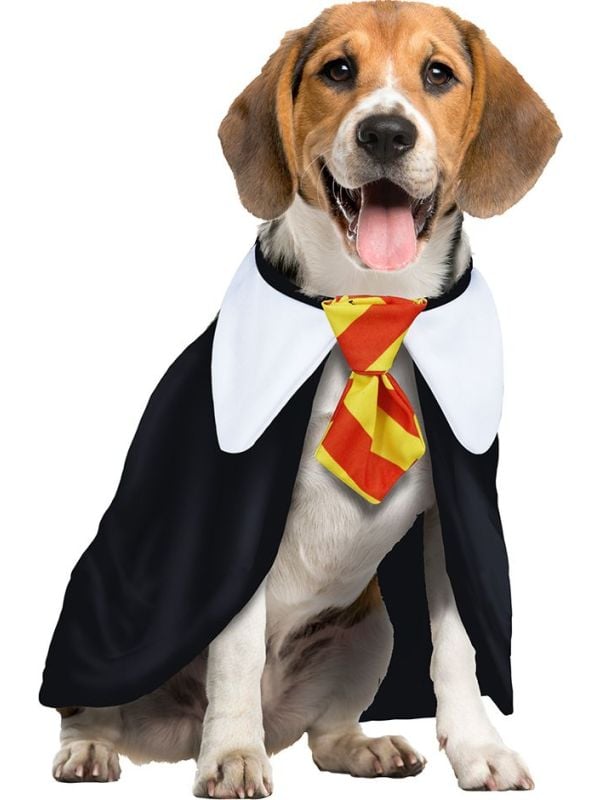 Harry Potter outfit hond