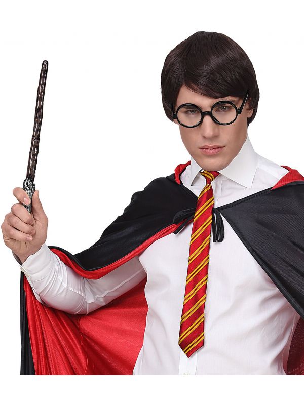 Harry Potter toverstok, stropdas en bril