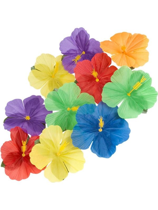 Hawaii kleurrijke decoratie bloemen