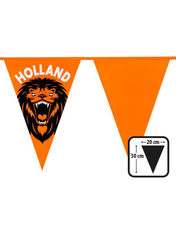 Hollandse leeuw oranje vlaggenlijn 6 meter