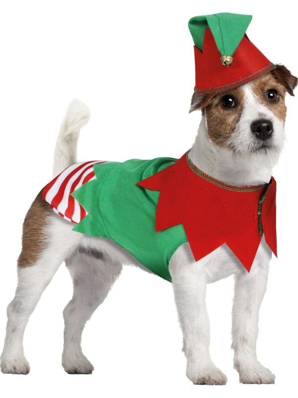 Kerstelfen kostuum voor honden main product photo