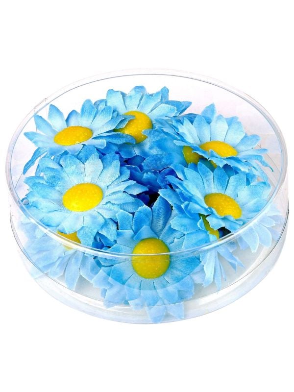 Margriet bloemen 20 stuks blauw