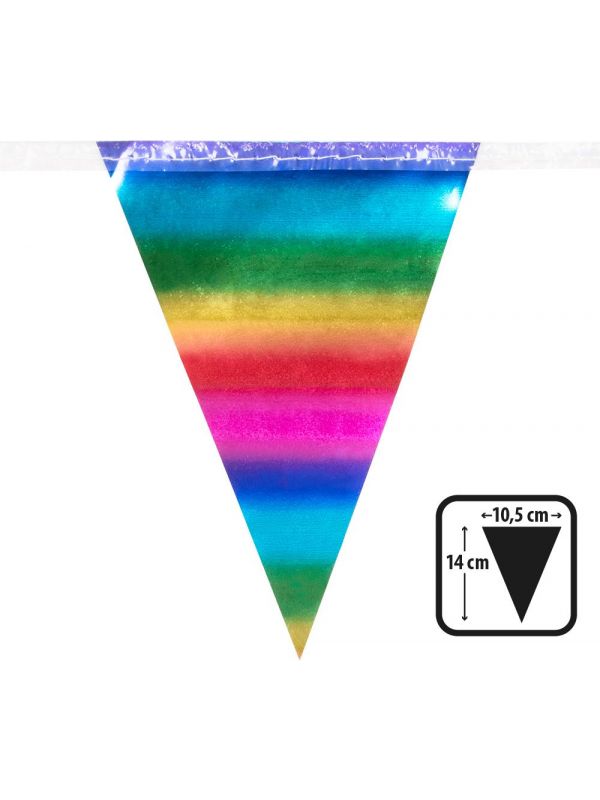Metallic rainbow mini vlaggenlijn