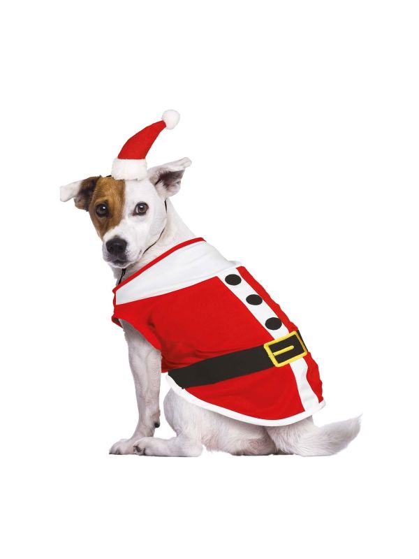 Mini kersthoedje kerstman kostuum honden main product photo