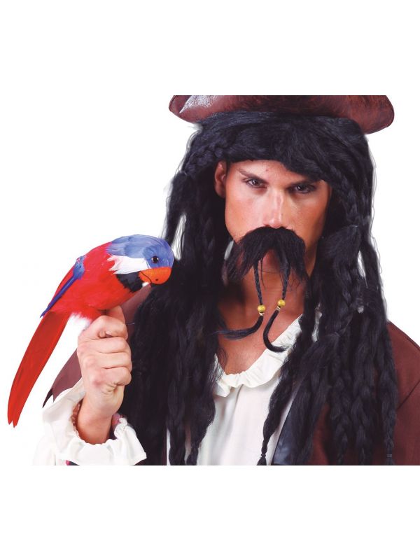 Opgezette papegaai piraat