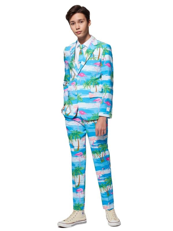 Opposuits Teen Boys Flaminguy pak