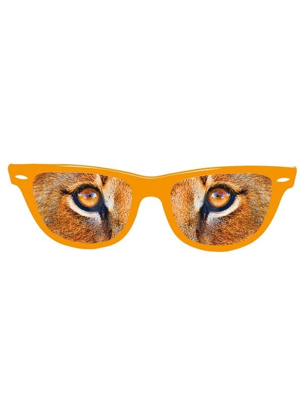 Oranje leeuwenogen bril