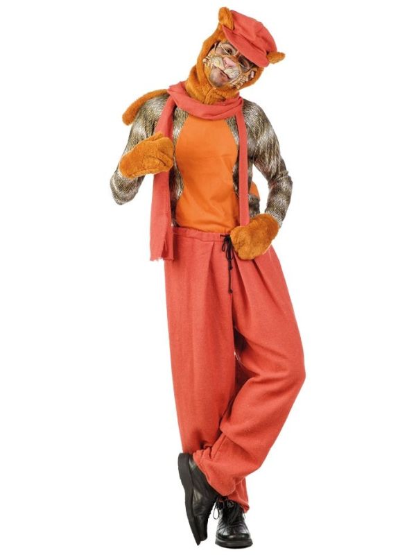 Oranje straatkat main product photo