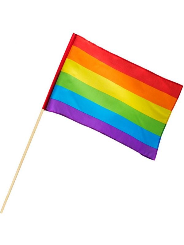 Pride regenboog thema zwaaivlag