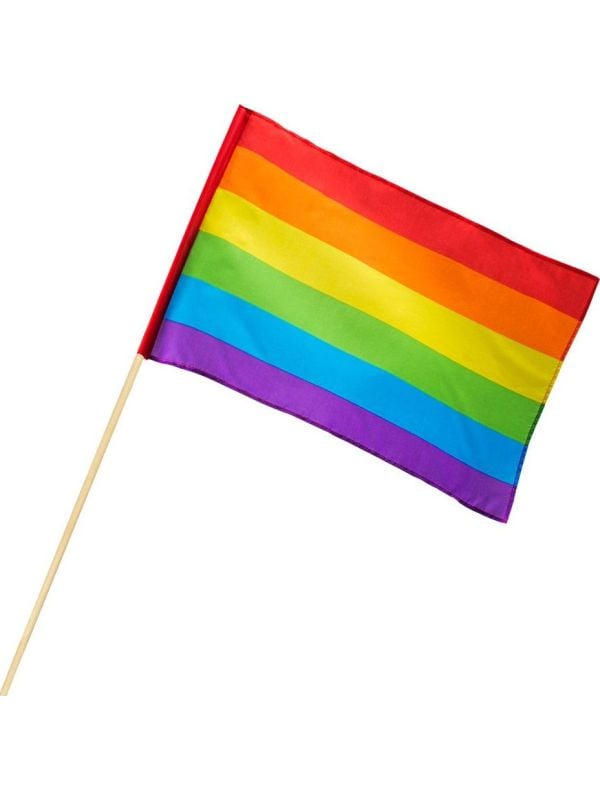 Pride regenboog thema zwaaivlag