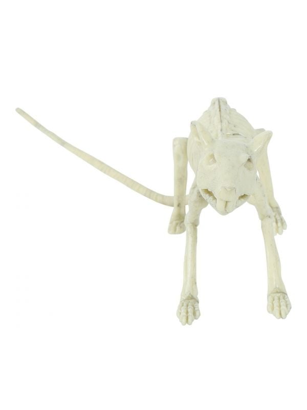 Rat skelet Halloween decoratie