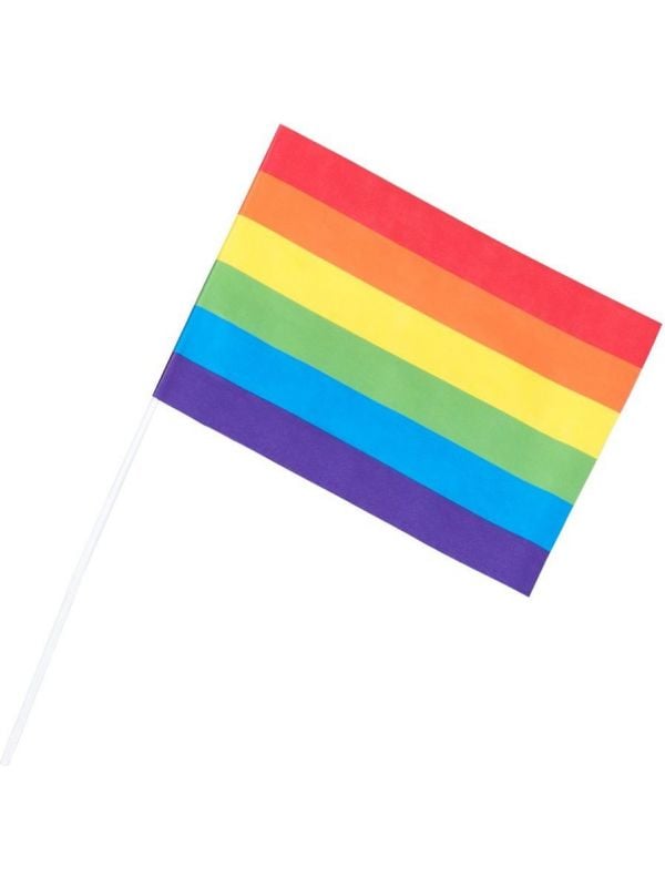 Regenboog papieren zwaaivlaggen gaypride 6 stuks