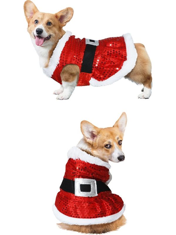 Rode pailletten kerstman kostuum honden