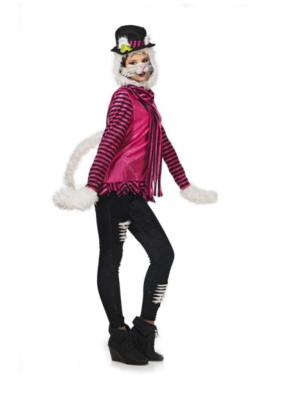 Roze katten pak main product photo