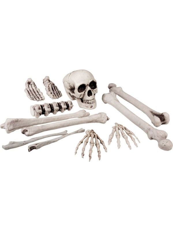 Skelet botten set 12 stuks