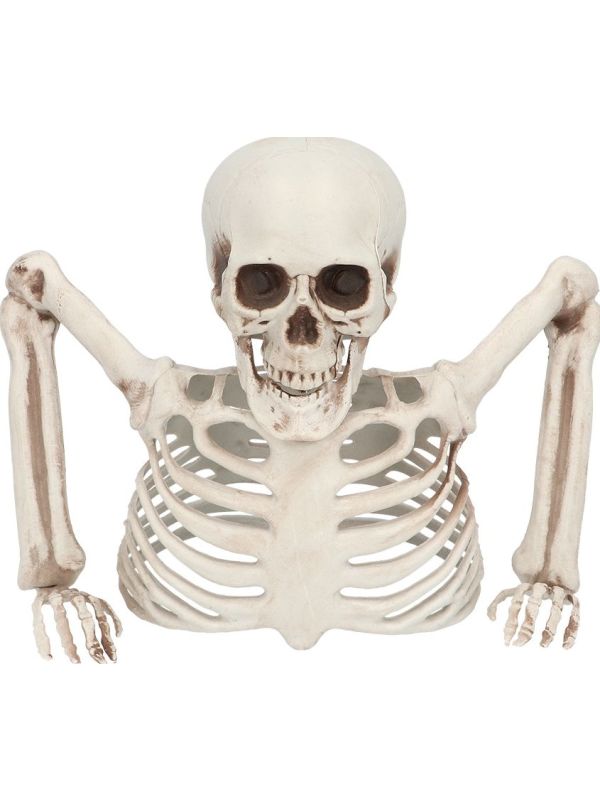 Skelet Groundbreaker Halloween Decoratie main product photo