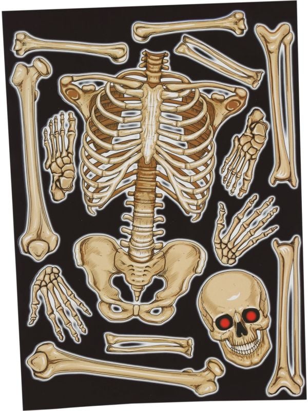 Skelet raamstickers Halloween main product photo
