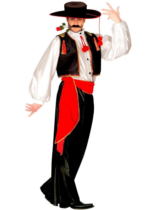 Spaanse flamenco danser