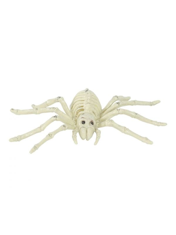 Spin skelet Halloween decoratie