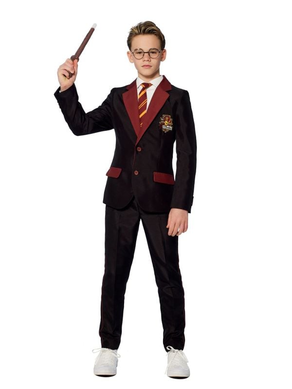 Suitmeister Harry Potter pak jongens