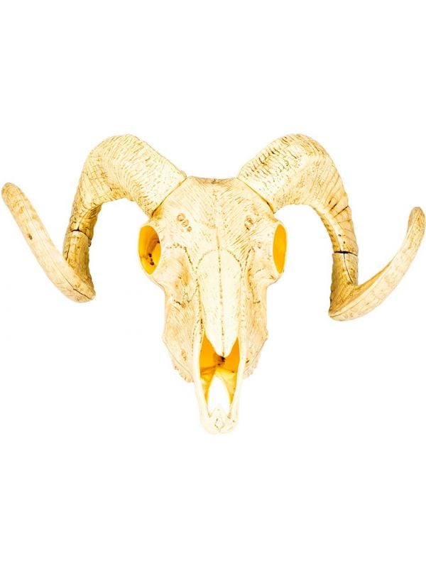Wild west dieren schedel decoratie
