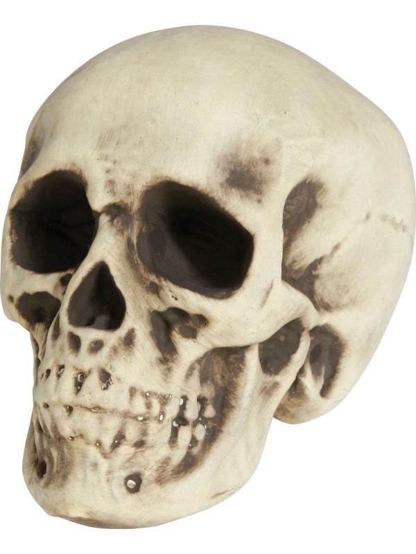Witte schedel 20 cm halloween main product photo
