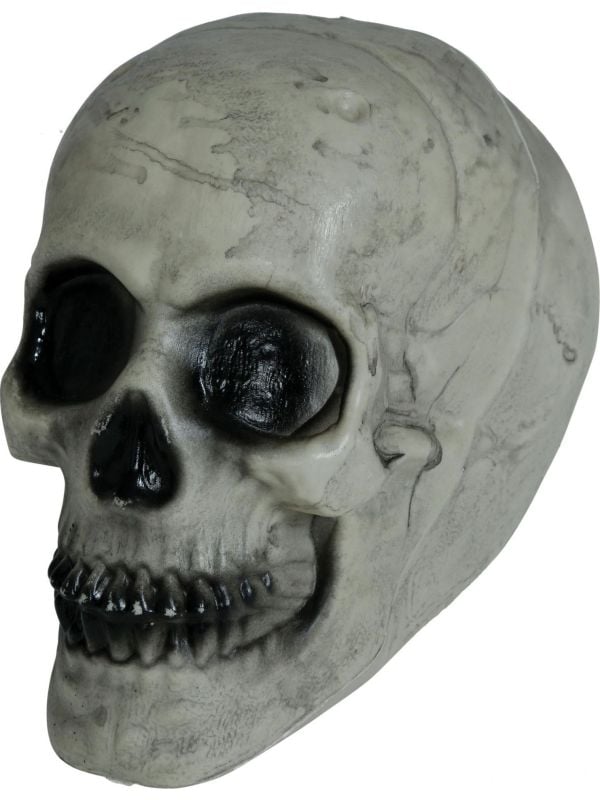 Witte schedel met zwarte ogen 20 cm halloween