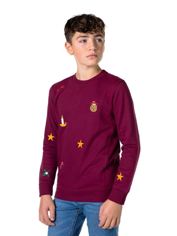 X-Mas Icons - Burgundy Sweater Tiener Jongens Opposuits