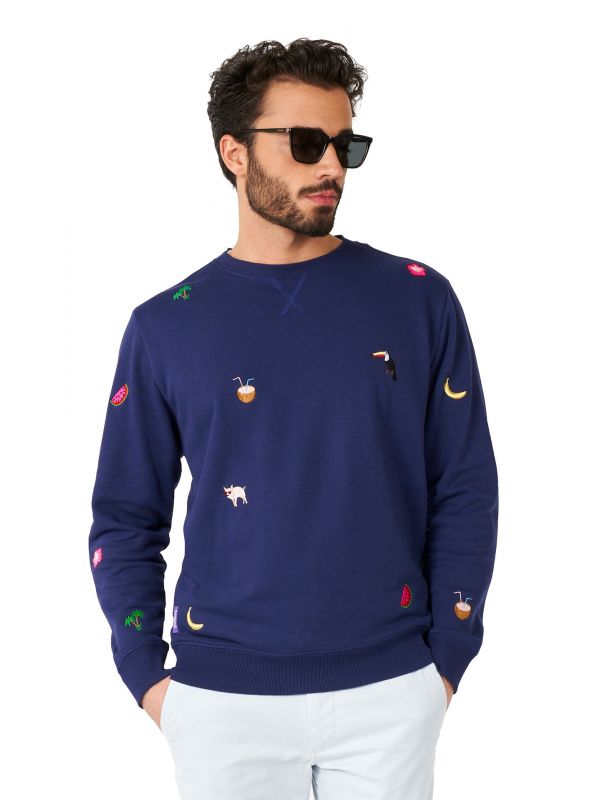 Zomerse Navy Sweater Heren Opposuits