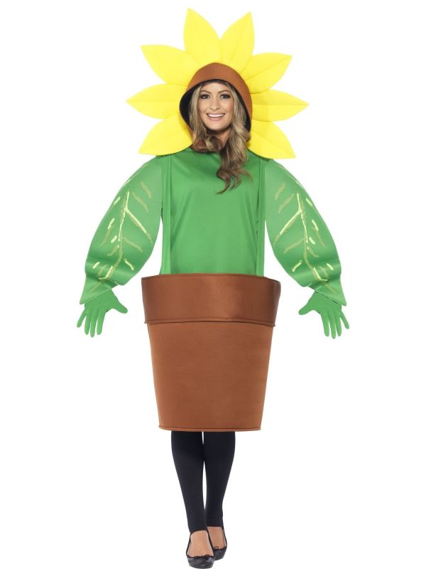 Zonnebloem in pot pak main product photo