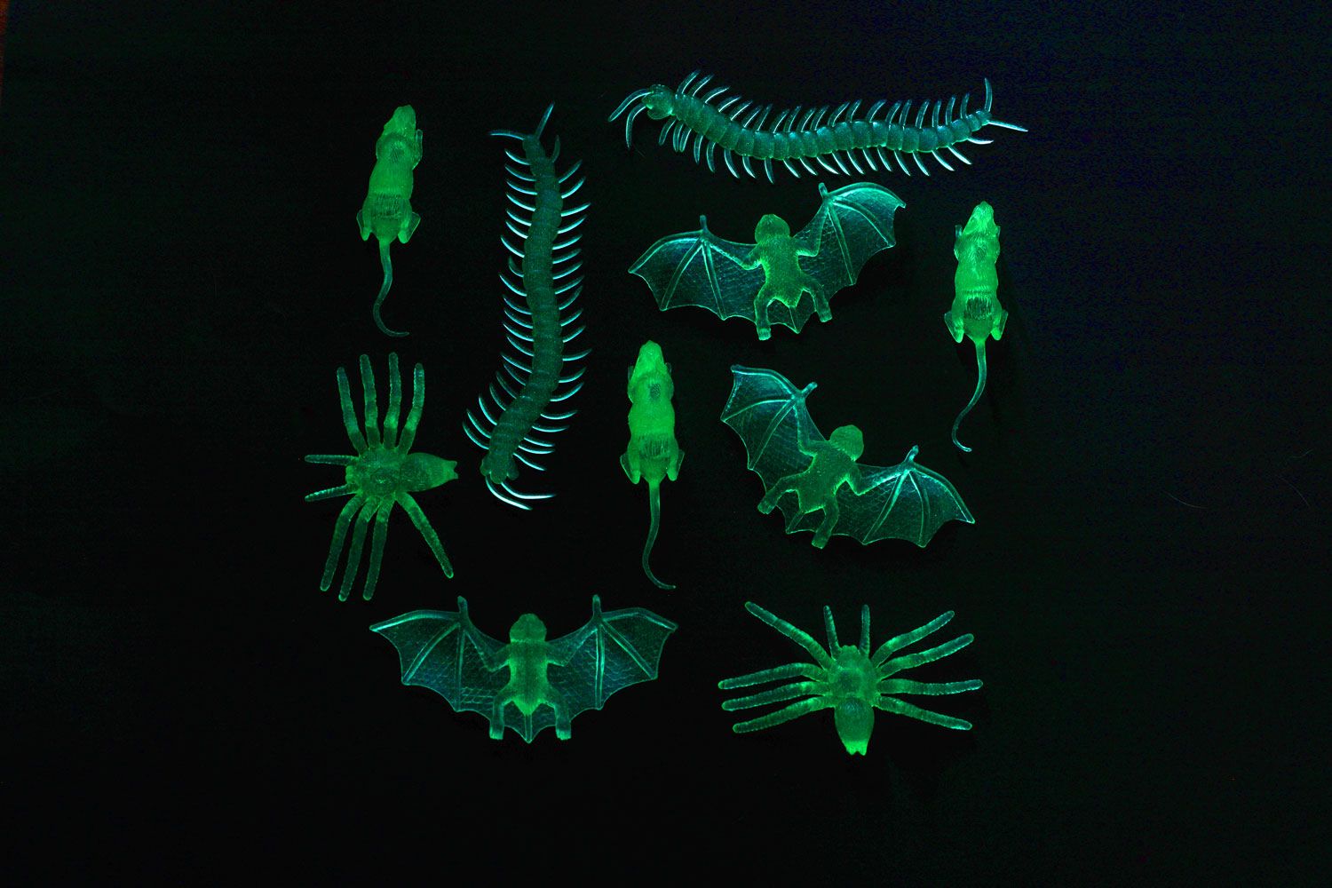10 Glow in the Dark insecten