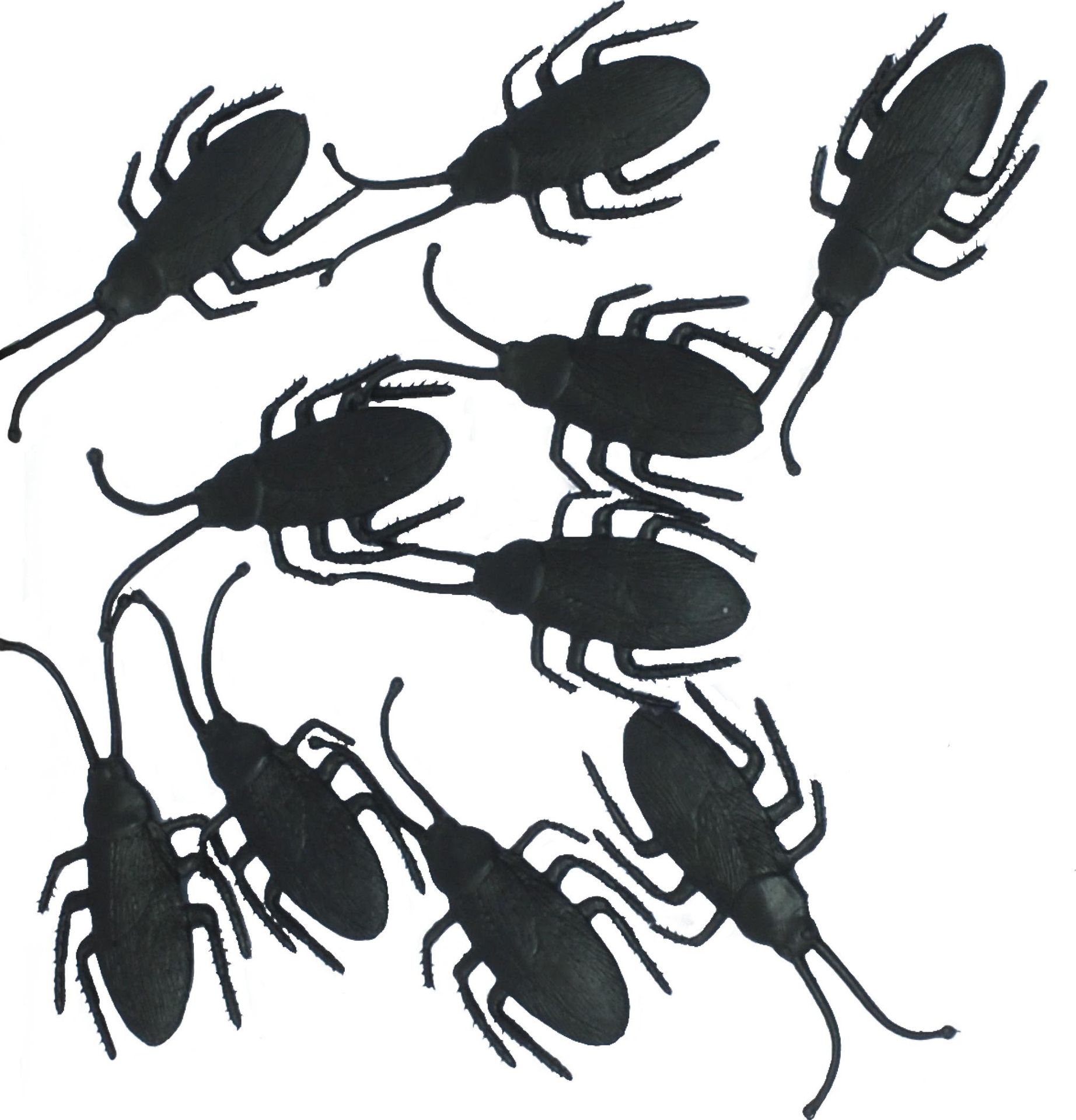 10 zwarte kevers 7 cm halloween