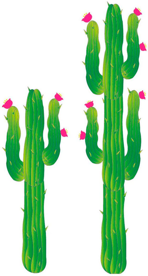 2 papieren cactussen