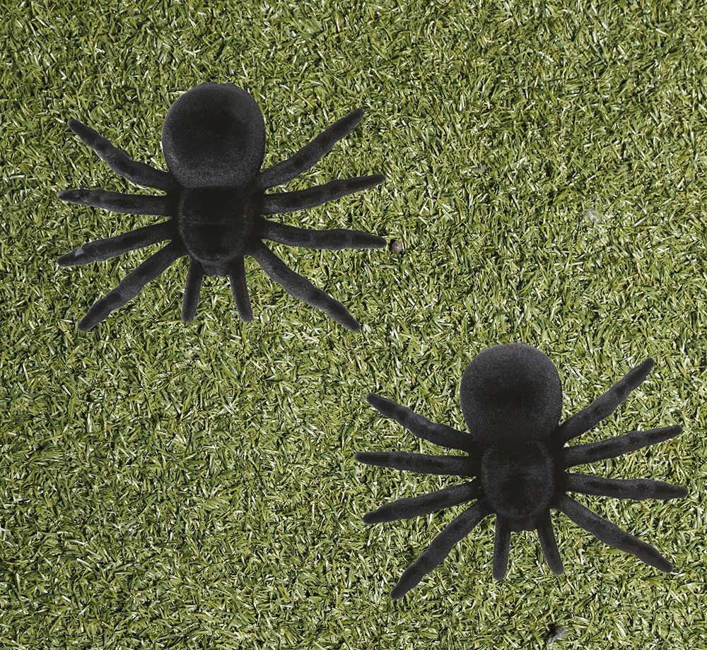 2 Zwarte Spinnen Halloween