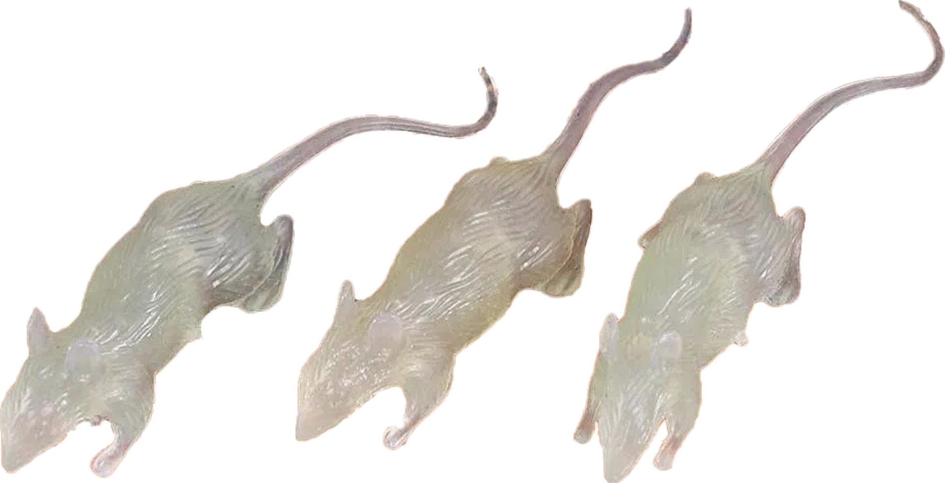 3 glow in the dark ratten 7 cm halloween