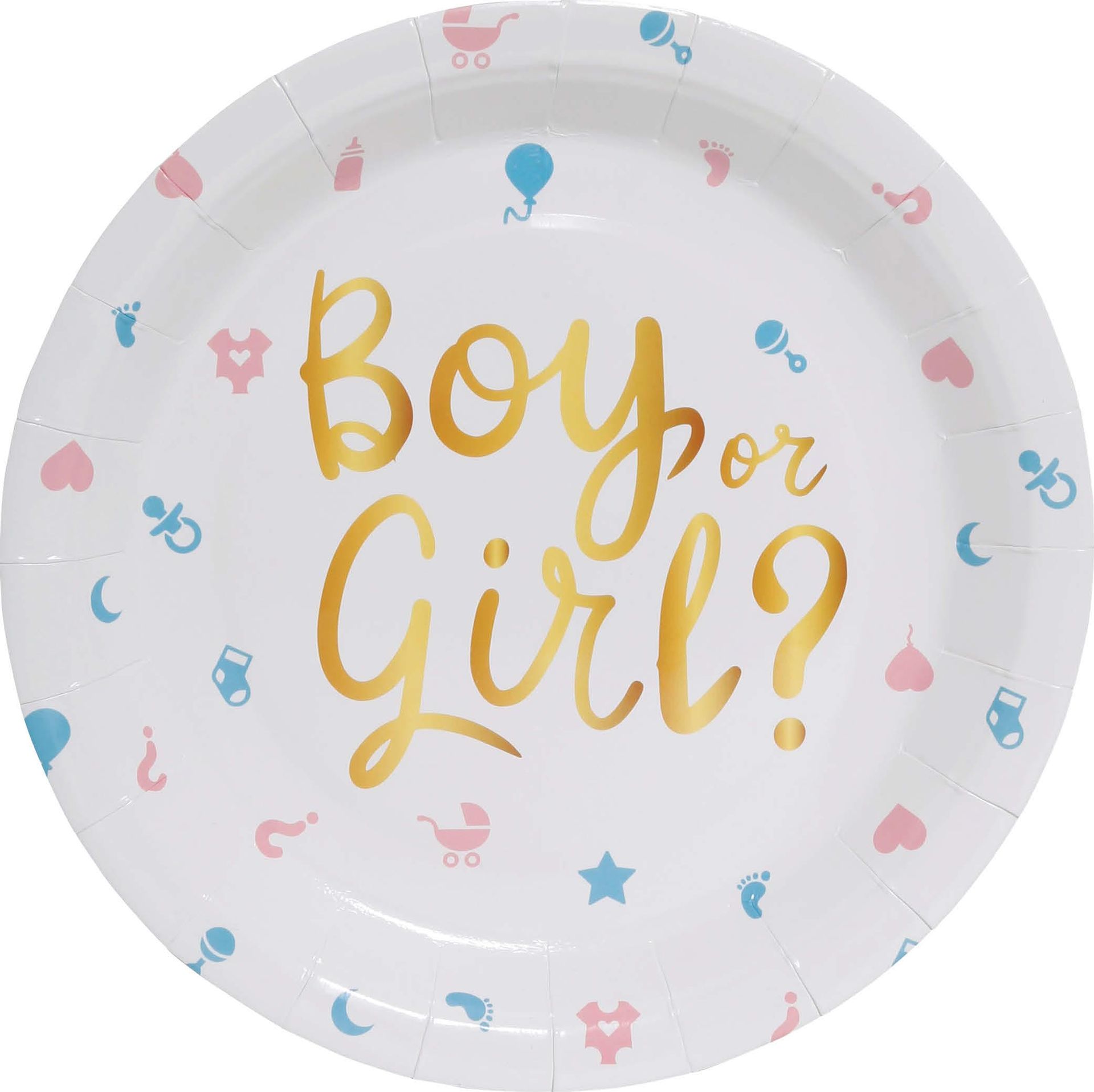 6 papieren eetborden Gender Reveal