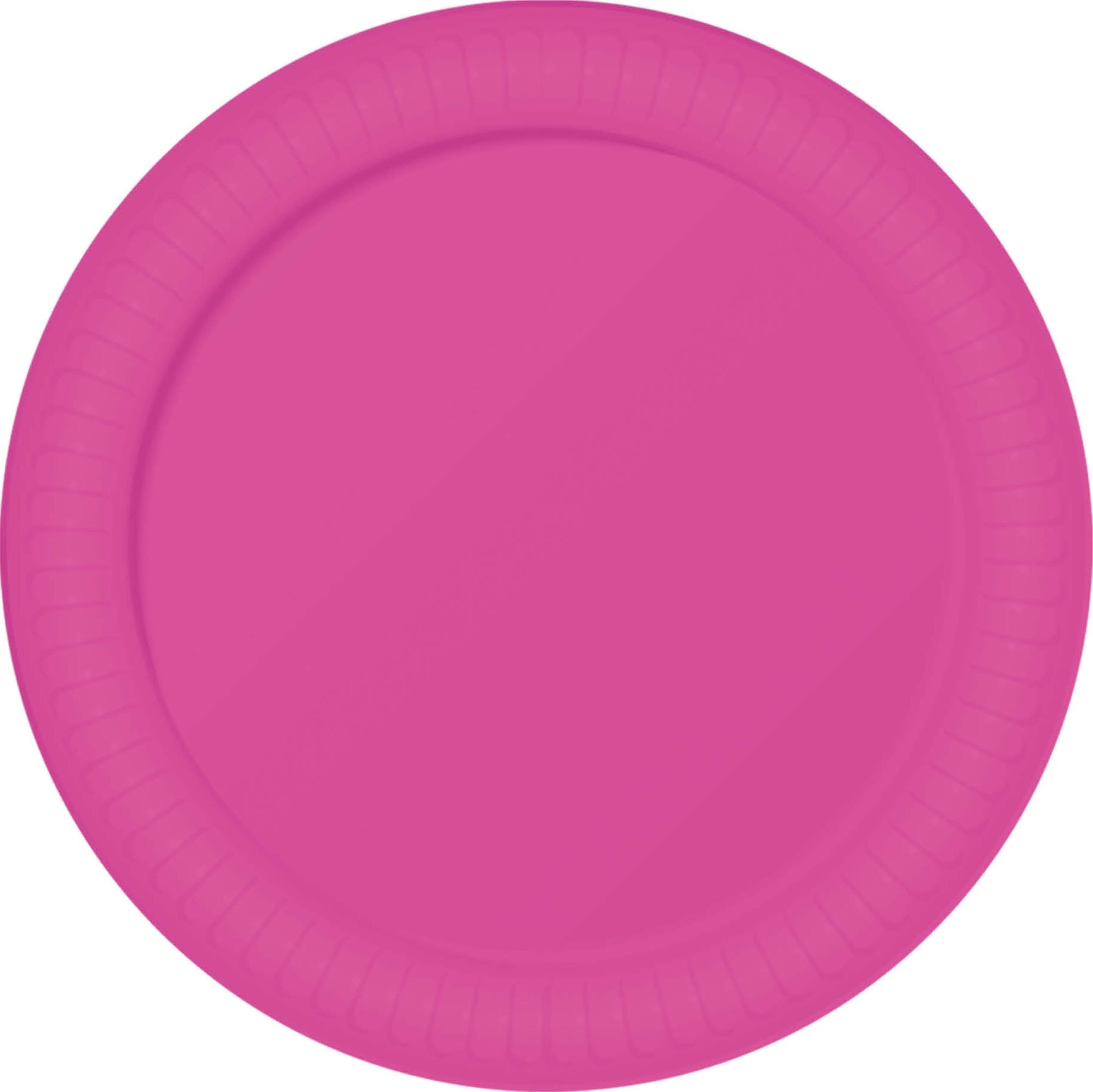 6 papieren eetborden neon fuchsia