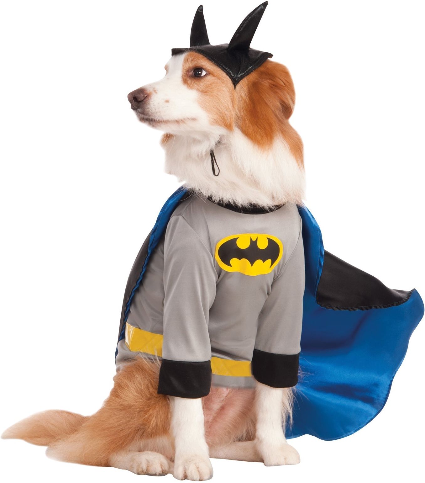 Batman Huisdier Pakje voor Honden