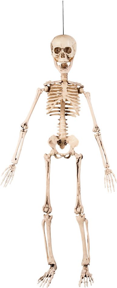 Bewegende skelet decoratie halloween