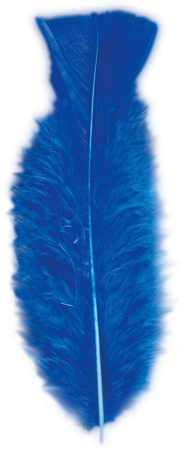 Blauwe veren 50 stuks