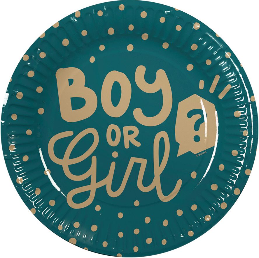Boy or girl gender reveal papieren bordjes 10 stuks